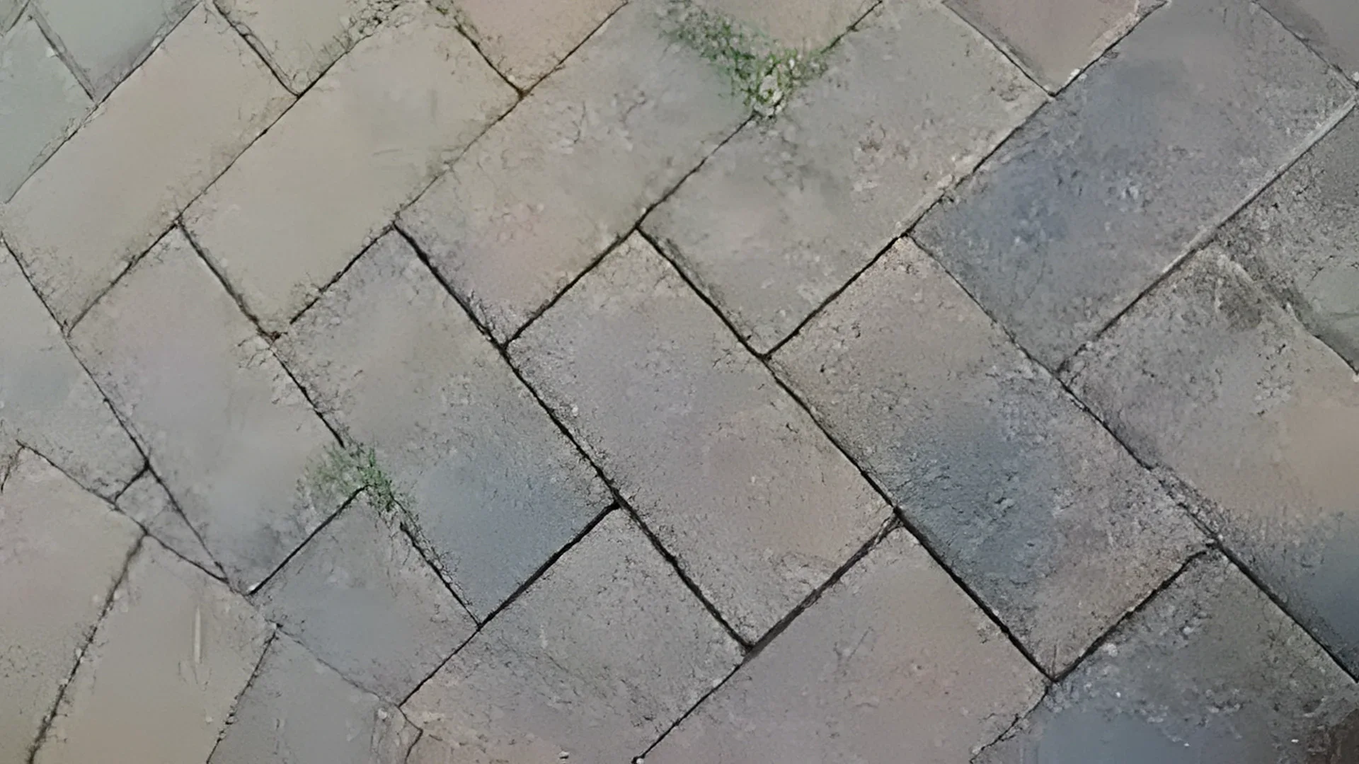 Faded, weathered herringbone pavers with weeds in the joints before paver sealing