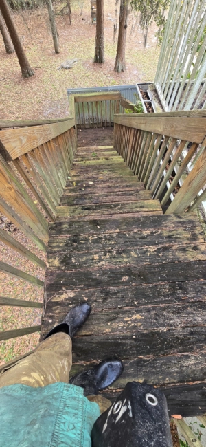Wooden Stairs Dirty