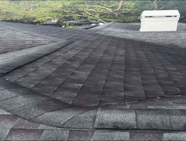 Before Soft Roof Wash